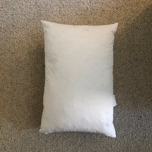 Restoration Hardwar SET OF 2 Pillow 17x11 Insert